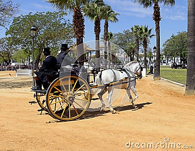 Driving competition dressage test , two-wheeled antique carriage Editorial Stock Photo