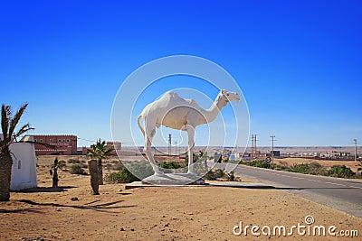 Dromedary camel white statue near a road Stock Photo