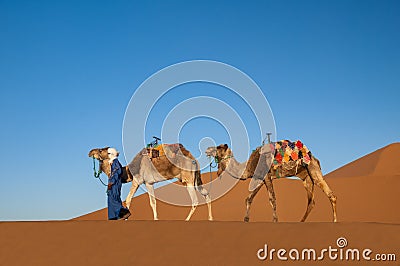 Dromedary caravan with nomad in the Sahara Desert Morocco Stock Photo