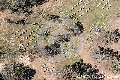 Drone aerial photograph of a large Bee Hive farm in a green field Stock Photo