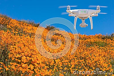 Drone Flying Above California Poppies Landscape During the 2019 Super Bloom Stock Photo