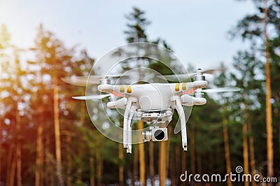 Drone flying on a background of forest trees Stock Photo