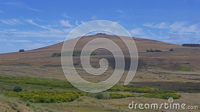 DRONE: Flying towards the steep grassy hill on world famous Easter Island. Stock Photo