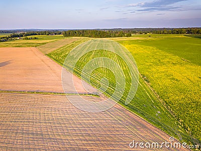 Drone Photo of the Road Between Fields in Colorful Early Spring Stock Photo