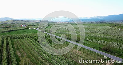 drone photography,aerial view of orchards in resen, prespa, macedonia Stock Photo