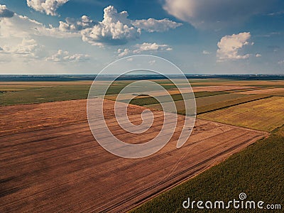 Drone photography of cultivated fields in summer Stock Photo