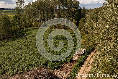 Drone photography of a pile of logs near a rural dirt road and logging site Stock Photo