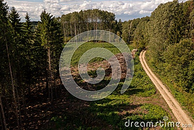 Drone photography of a pile of logs near a rural dirt road and logging site Stock Photo