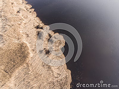 Drone photography - reeds in sunlight of sunset on coast of lake Stock Photo