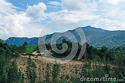 Lumbering site in the mountains, near lake Ledro, Trentino, Italy Stock Photo