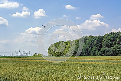 Drone on a sunny day against the sky and clouds over the wheat field Stock Photo