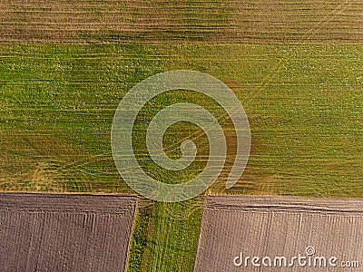 Drone view of agricultural land from top Stock Photo