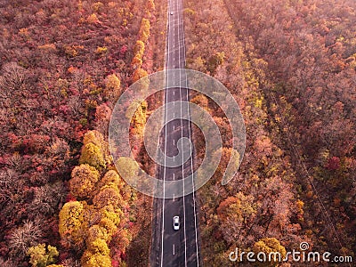Drone view on automobile road in autumn colorful lush forest. Stock Photo