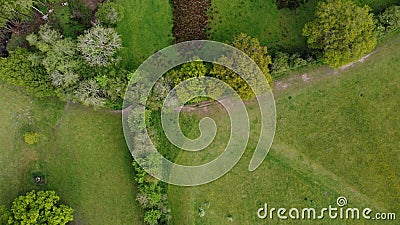 An aerial view looking from directly above of green fields and hedges Stock Photo