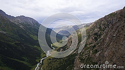 Drone view of a green gorge with high rocky cliffs Stock Photo