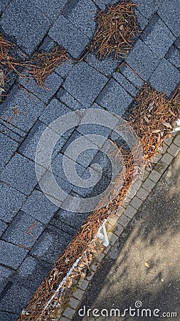 Aerial drone view of residential rain gutter eavestrough filled with pine needles and tree debris Stock Photo