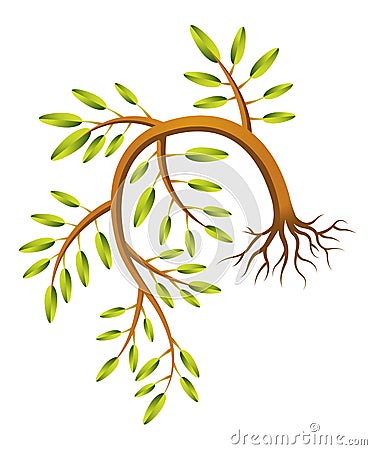 Drooping Sapling Vector Illustration