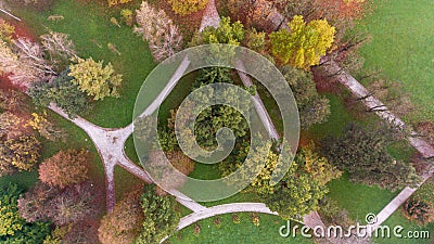 Drop down view of many trails running through trees in a park. Stock Photo