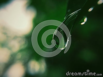 Drop water Stock Photo