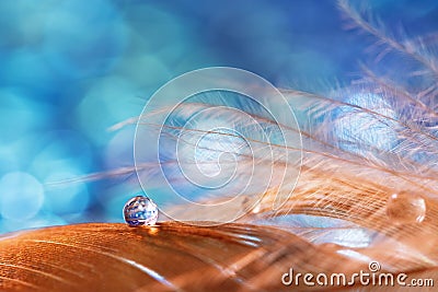 A drop of water dew on a fluffy feather close-up on blue blurred background. Abstract romantic magical artistic image for the Stock Photo