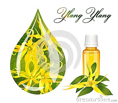 Drop of ylang ylang Vector Illustration