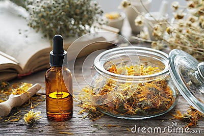 Dropper bottle of calendula infusion or oil, jar of dried marigold flowers, old recipes book and chamomile bunch on background. Stock Photo