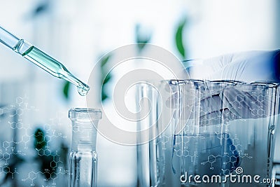 Dropper over test tube dropping sample chemical into sample herbal plaint , biotechnoloy research concept.Natural extracts Stock Photo