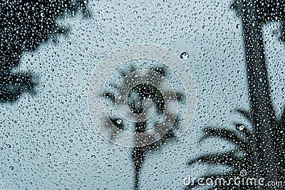 Drops of rain on the window; blurred palm trees in the background; shallow depth of field Stock Photo