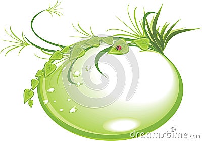 Drops with sprigs, grass and ladybird Vector Illustration