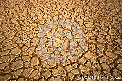 Drought Stock Photo