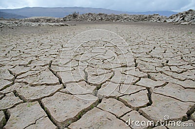 Drought Stock Photo