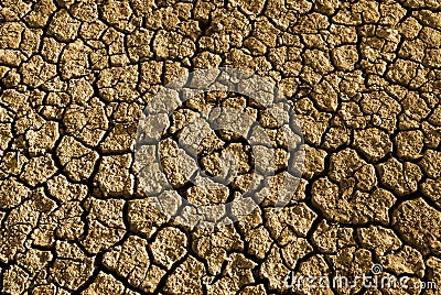 Drought Stock Photo