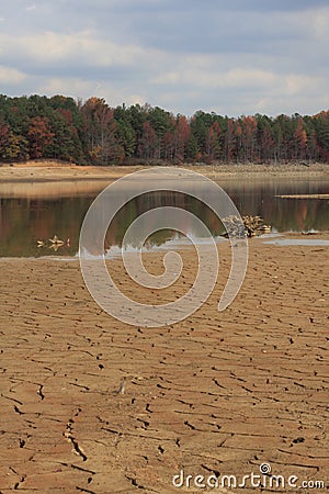 Drought Stock Photo