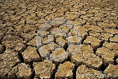 Drought Stock Photo