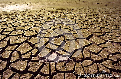 Drought Stock Photo