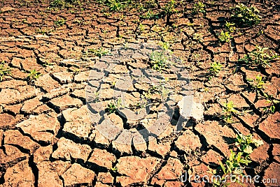 Drought Stock Photo