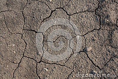 Drought conditions Stock Photo