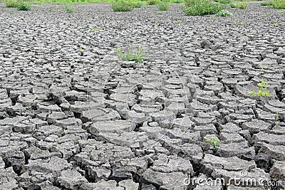 Drought cracked earth Stock Photo