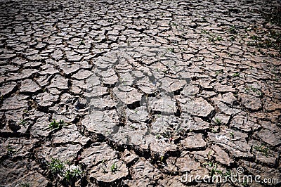 Drought Cracked Ground Stock Photo