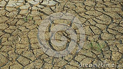 Drought cracked pond wetland, swamp very drying up the soil crust earth climate change, environmental disaster and earth cracks Stock Photo