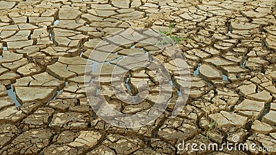 Drought cracked pond wetland, swamp very drying up the soil crust earth climate change, environmental disaster and earth cracks Stock Photo