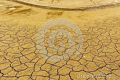 Drought cracked river Stock Photo