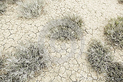 Drought in the desert Stock Photo