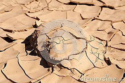 Drought and Desertification Stock Photo