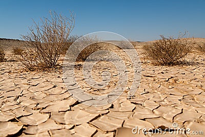 Drought and Desertification Stock Photo