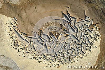 Drought, earth cracks, natural disasters Stock Photo