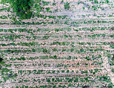 Drought Farm from Top view aerial photography Stock Photo