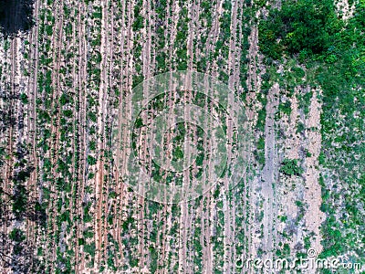 Drought Farm from Top view aerial photography Stock Photo