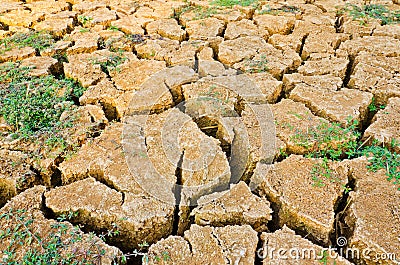 Drought field, drought land Stock Photo