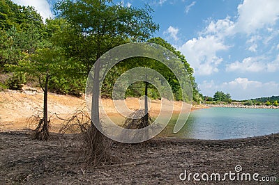 Drought Stock Photo